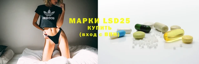 ECSTASY Алзамай