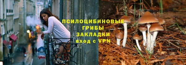 a pvp Алексин