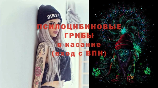 a pvp Алексин